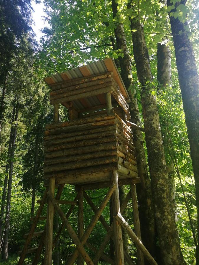 Ferienhaus Krallinger أبتيناو المظهر الخارجي الصورة